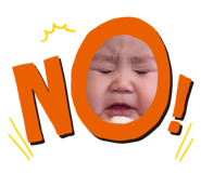 303081096