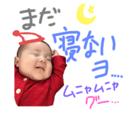 303081177