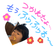 303081190