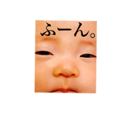303081192