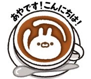 303081798