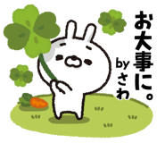 303082169