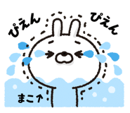303083047