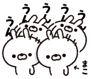 303083053