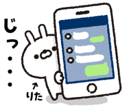 303084076