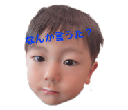 303085564