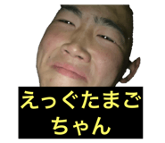 303085686