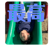 303085931