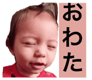 303086747