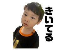 303087562