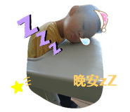 303087697