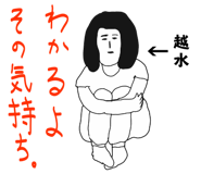 303088538