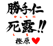 303089201