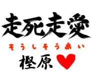 303089229