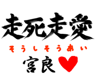 303090069