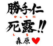 303090481