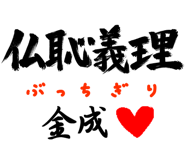 303090667
