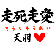 303090869