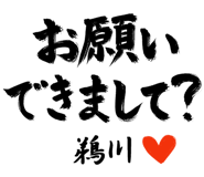 303091063