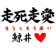 303091149