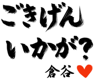 303091480