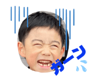 303091653