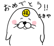 303092537