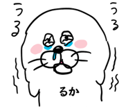 303092620