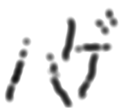 303092764