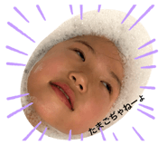 303093575