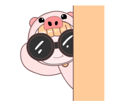 303099544