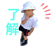 303103163