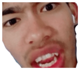 303222208