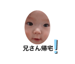 303226333