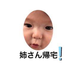 303226334