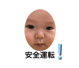 303226339