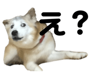 303228108