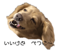 303253265