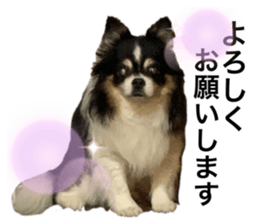 303270439