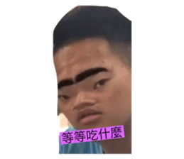 303272079