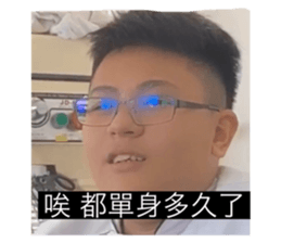 303272087