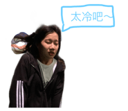 303373446