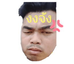 303433184