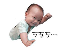 303435620