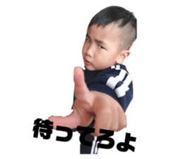 303444153