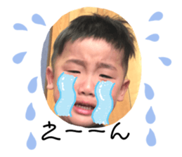 303444166