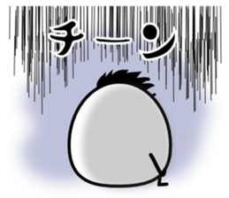 303453156