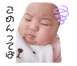 303490527