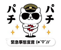 303504704