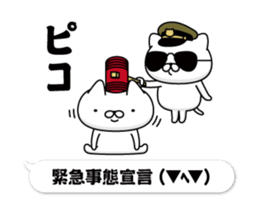 303504715